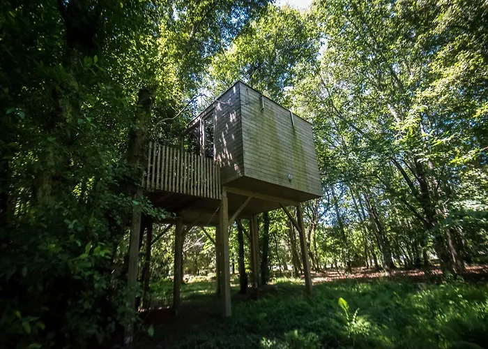 De Apriscos A Coruña